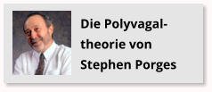 Die Polyvagal-theorie von Stephen Porges